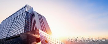 公司介绍